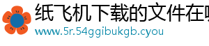纸飞机下载的文件在哪